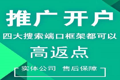关键词竞价排名策略：成功企业的案例分析